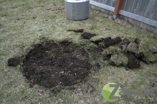 Zaycon Foods -steel drum fire pit