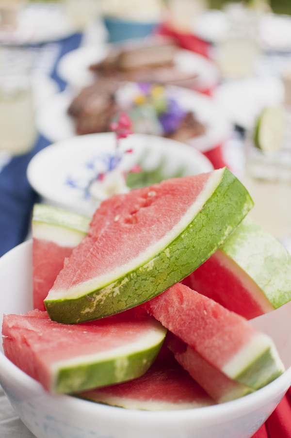 Zaycon Foods-patriotic picnic