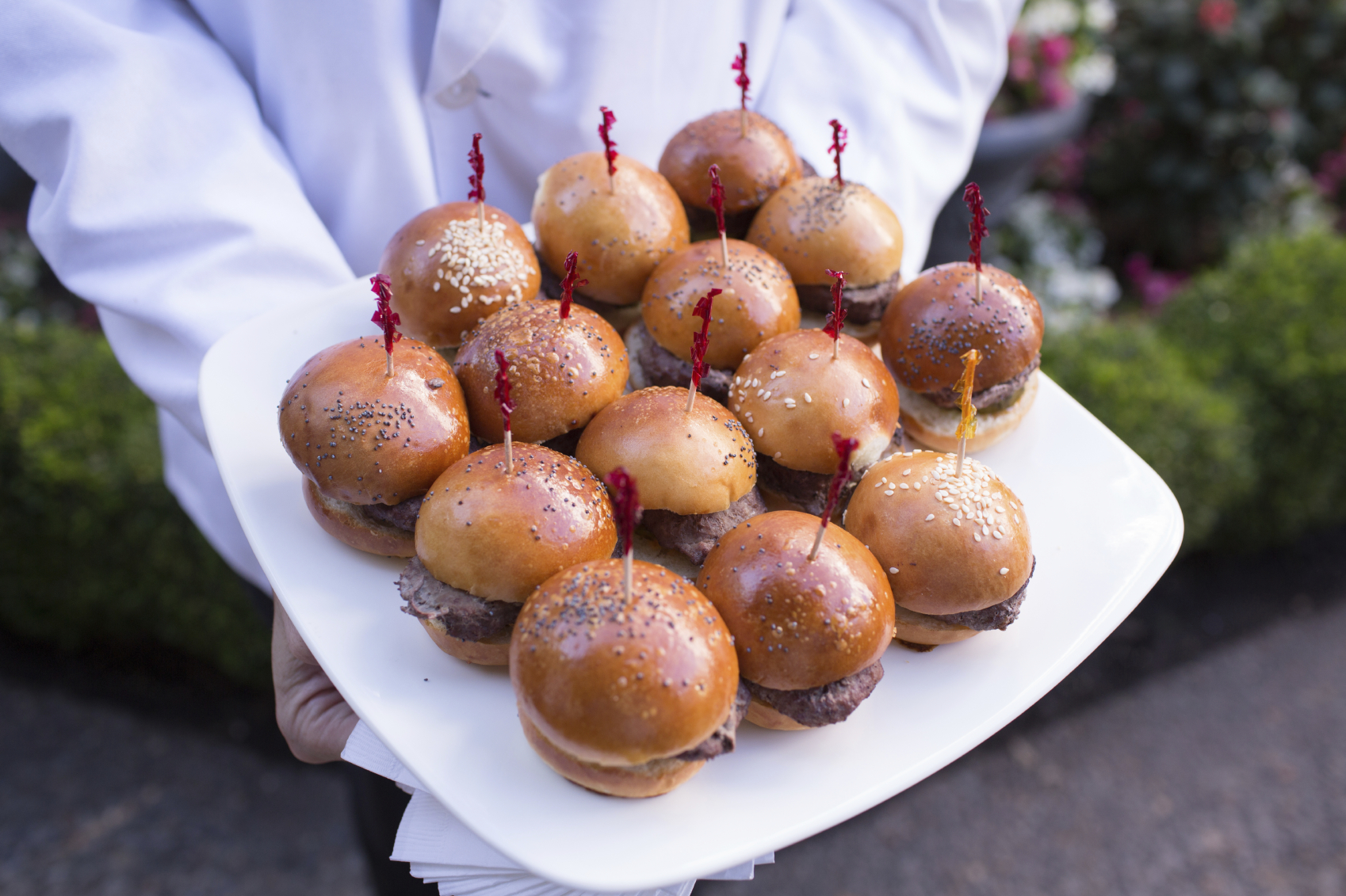 iStock_000026800294_Medium